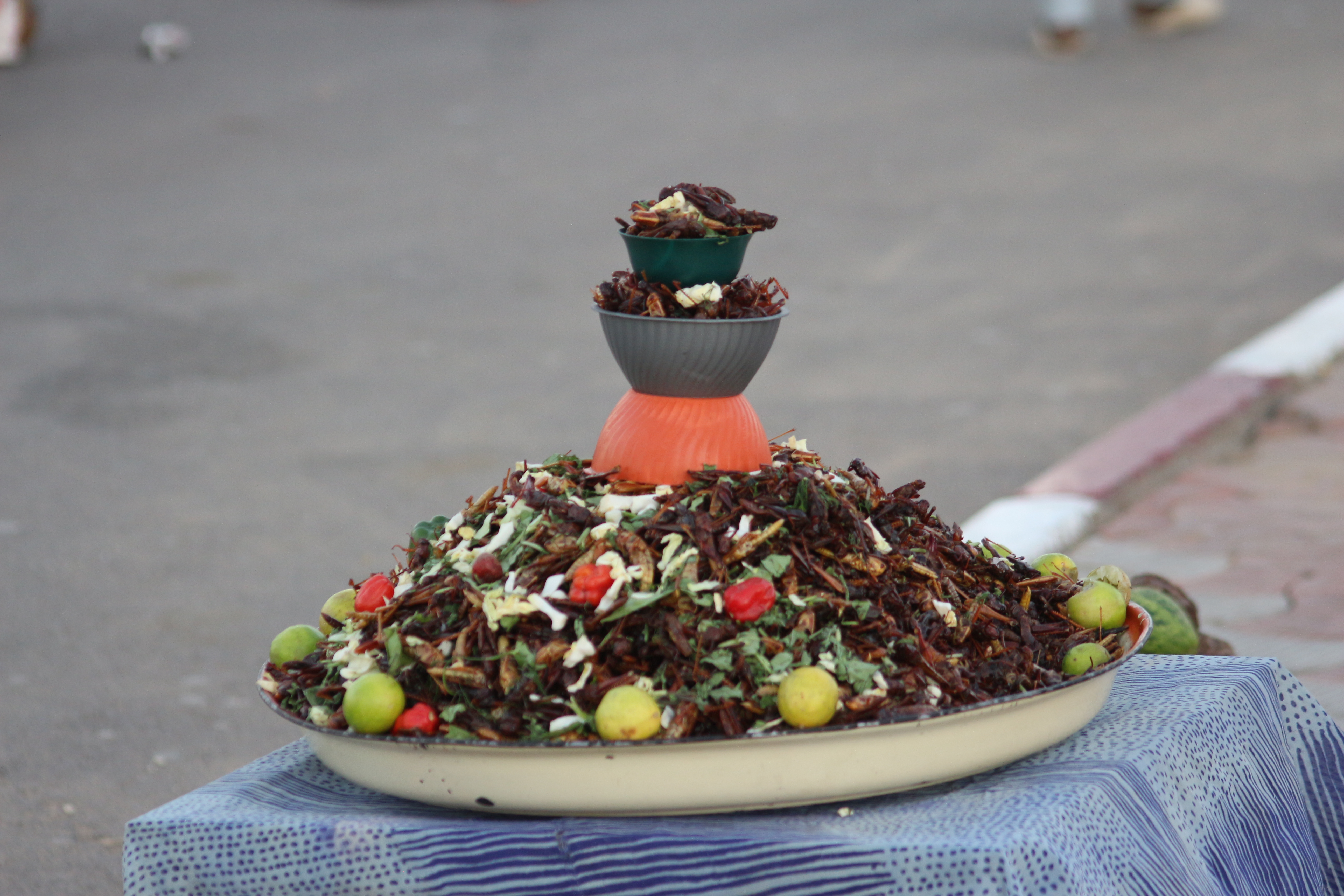 Belalang goreng atau panggang