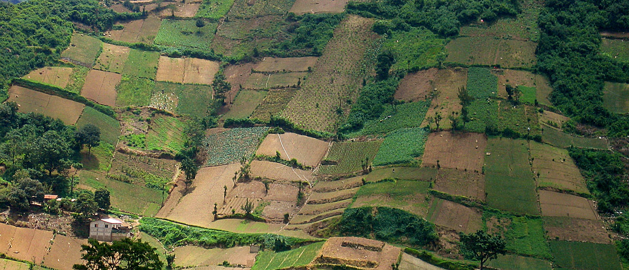 Những cánh đồng ở Quetzaltenango.