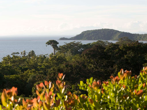 La Palma, Darién