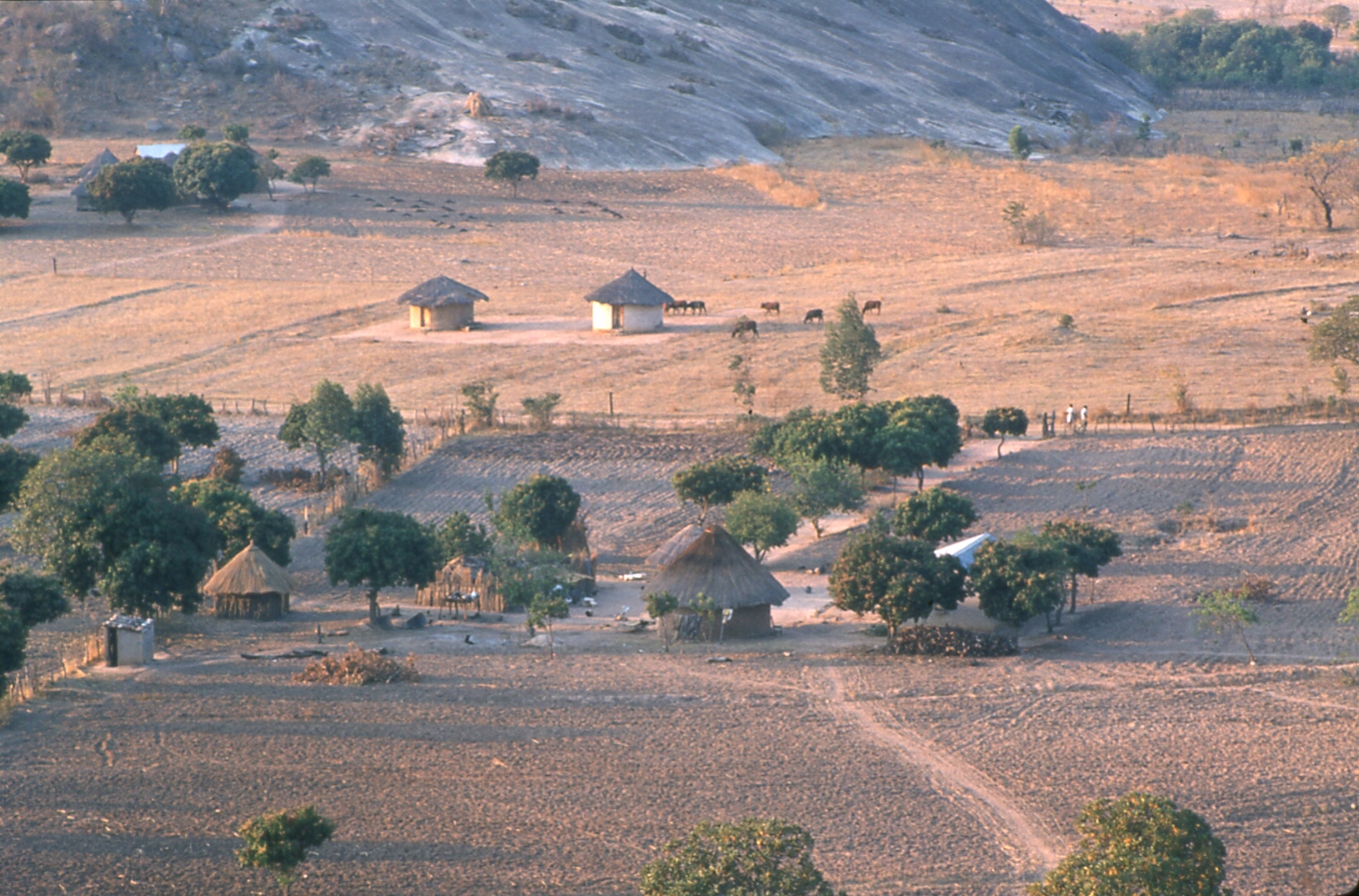 Pertanian Shona di Zimbabwe