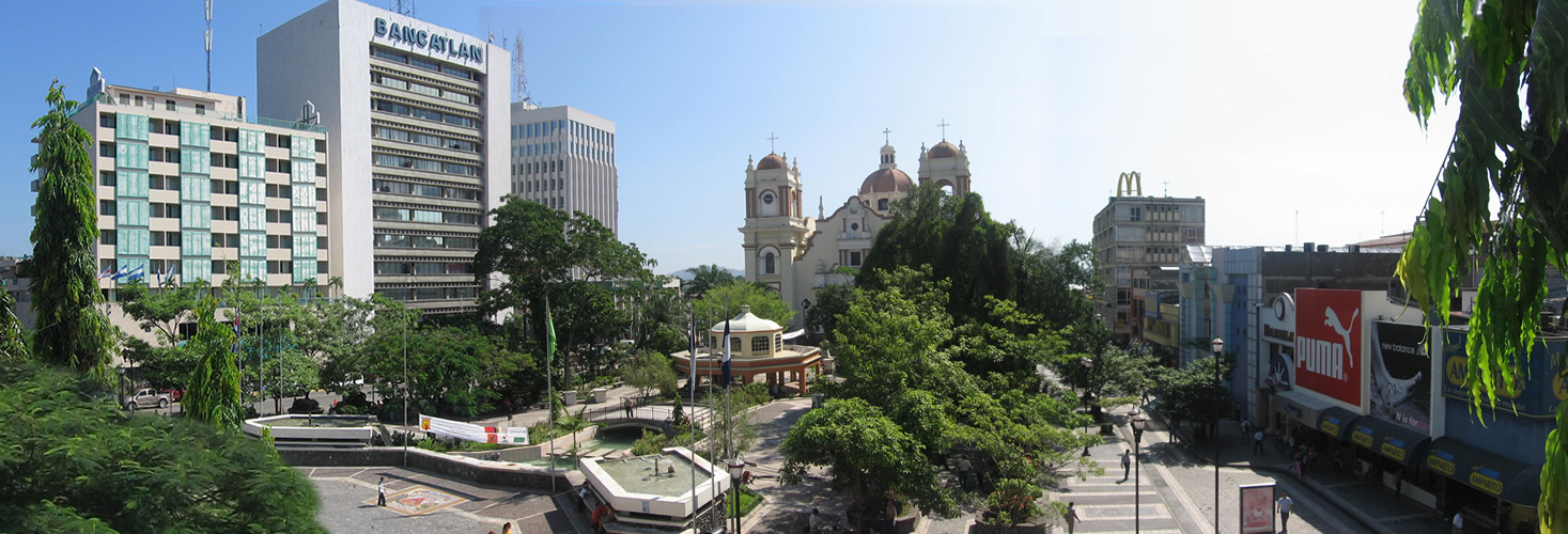 San Pedro Sula là một trung tâm kinh doanh và thương mại lớn ở Honduras, và là nơi đặt trụ sở của nhiều nhà sản xuất và công ty lớn. Nó thường được gọi là