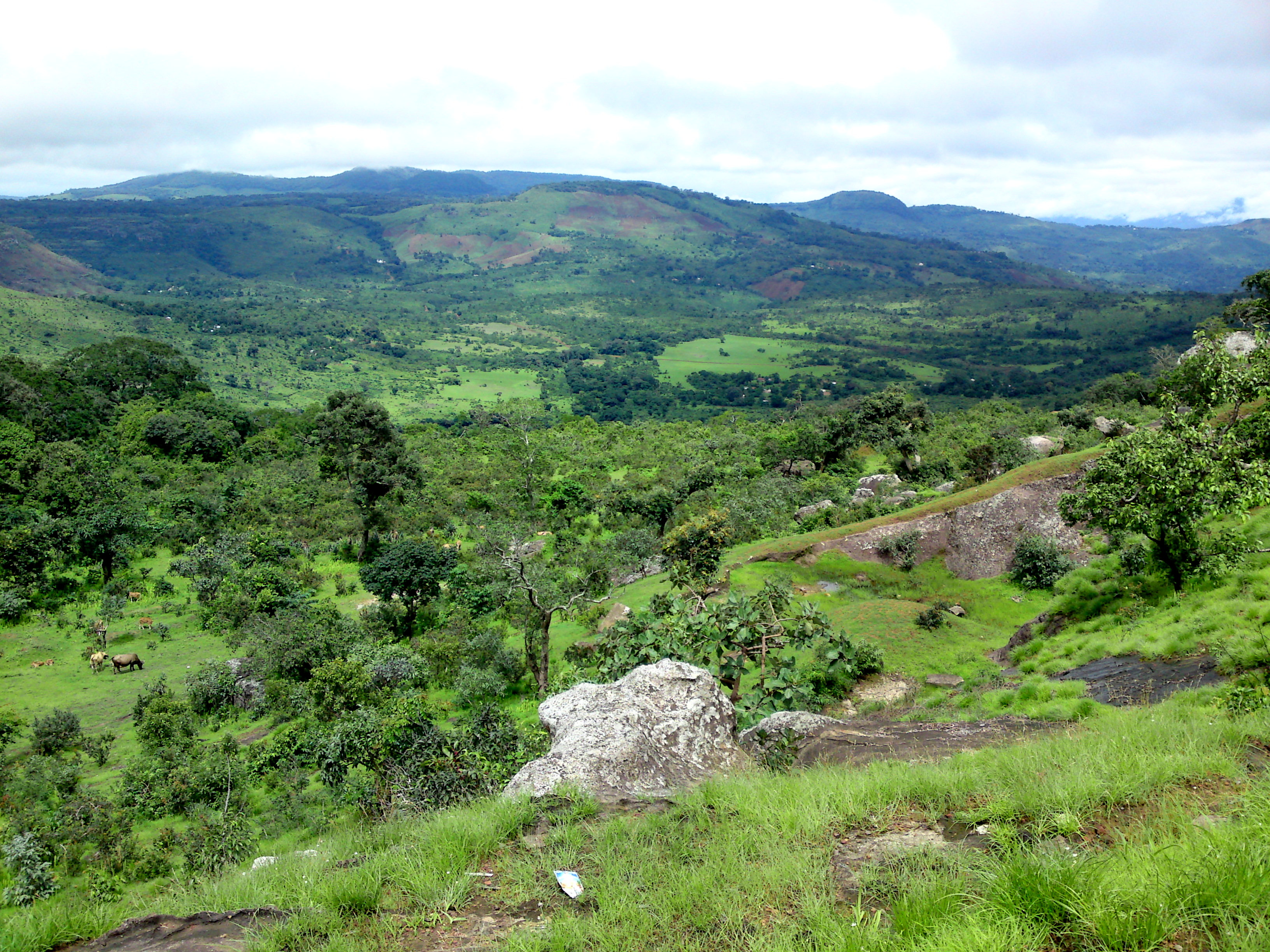 The Fouta Djallon highlands in central Guinea are a major source of West African rivers.