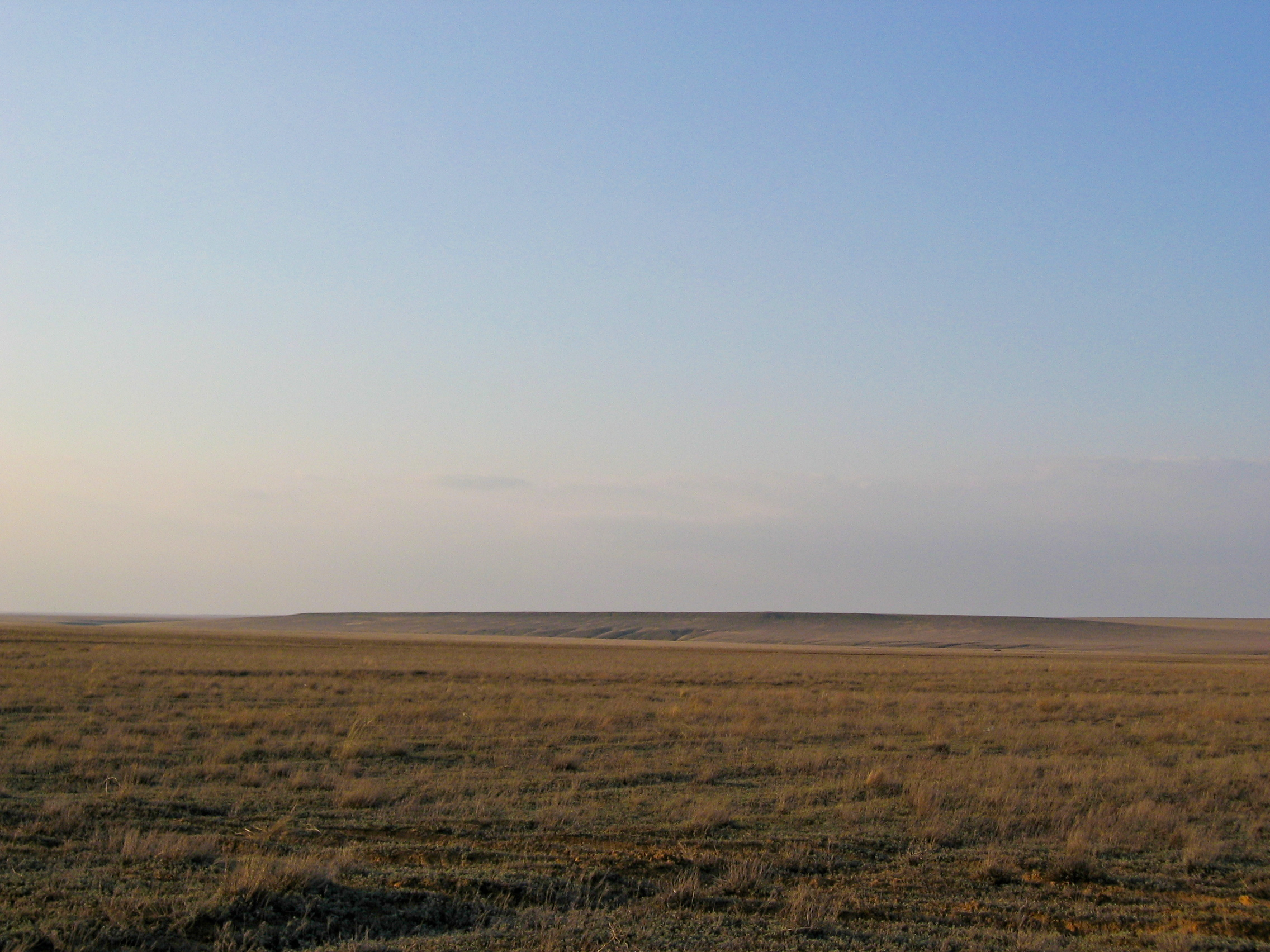 Steppe Kazakh pada awal musim bunga