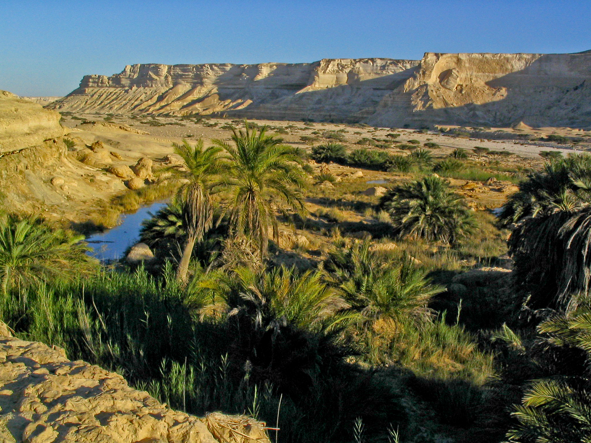 Sebuah oasis di tengah-tengah landskap gersang Oman, memberikan sumber air dan kehijauan.