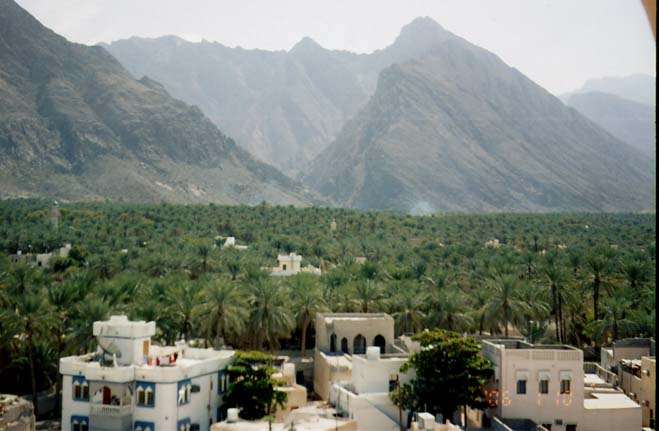 Ladang pokok kurma Nakhal di Wilayah Al Batinah Oman
