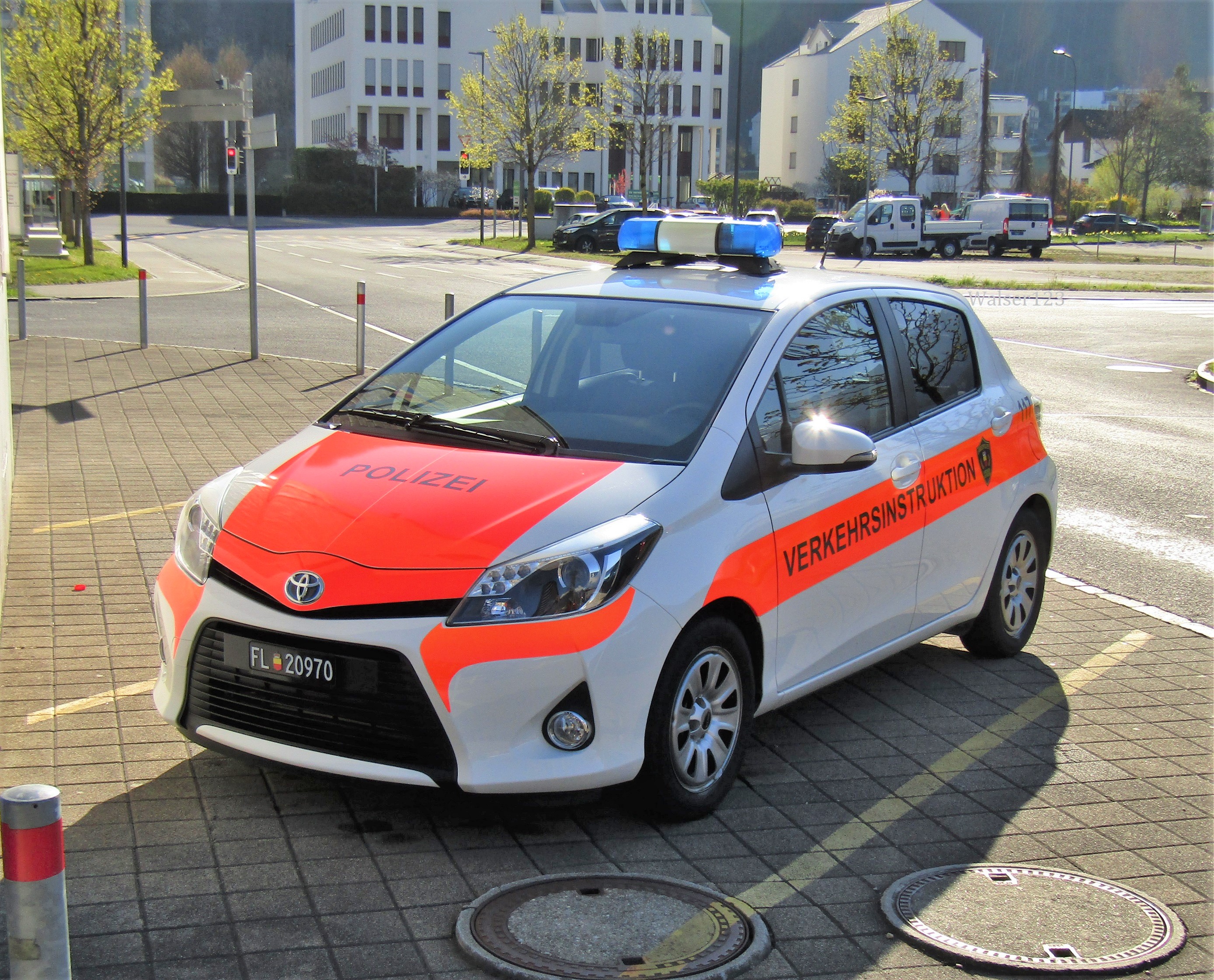 Polis Liechtenstein