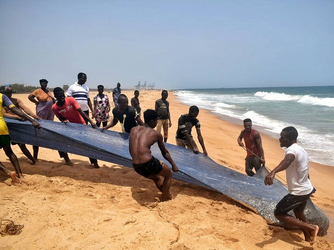 Fishermen in Togo; fishing, along with agriculture, forms a vital part of the local economy and subsistence.