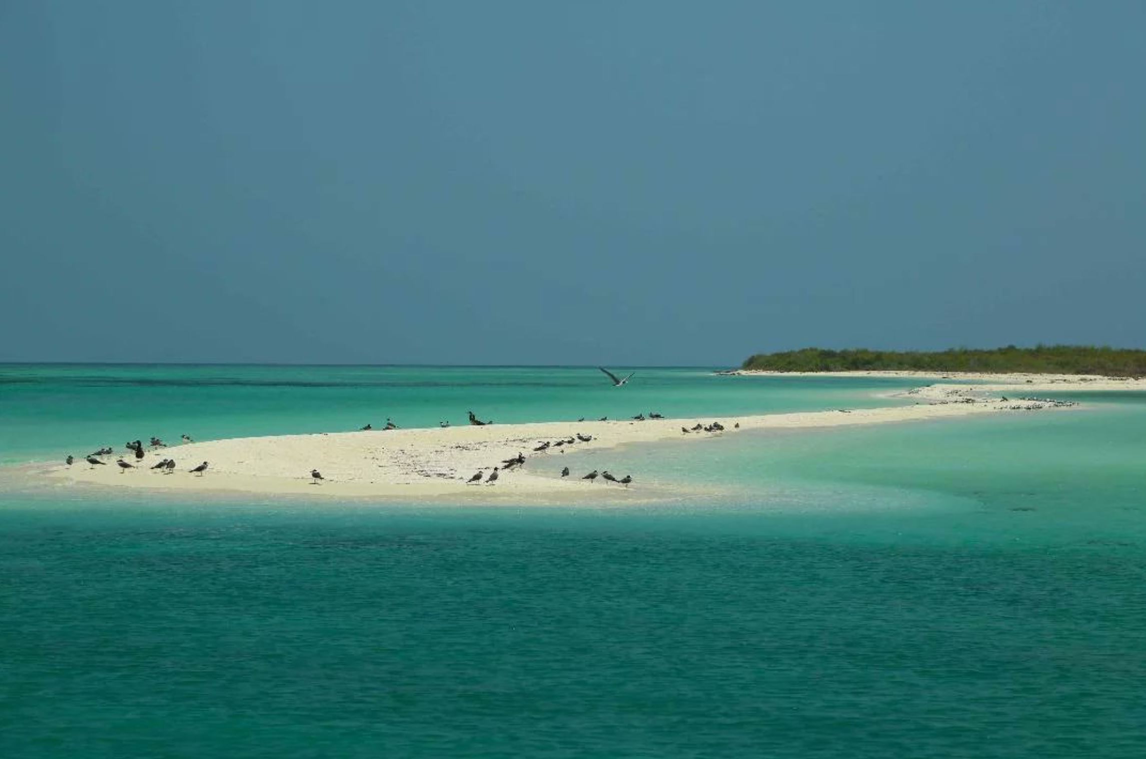 Pulau Madote, salah satu daripada 200 pulau Eritrea, sebahagian daripada Taman Negara Marin Kepulauan Dahlak