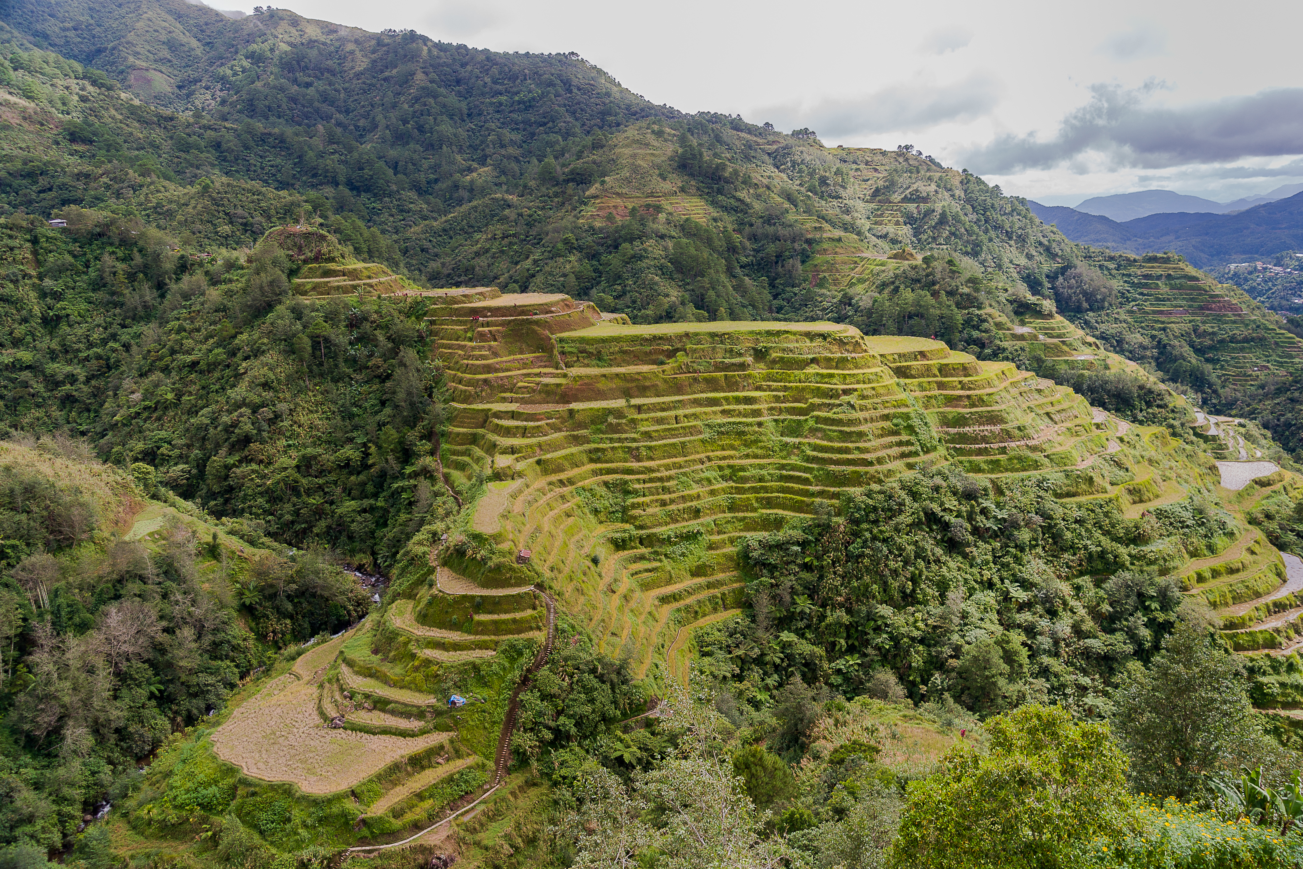 Sawah Bertingkat Banaue, diukir oleh nenek moyang orang Ifugao