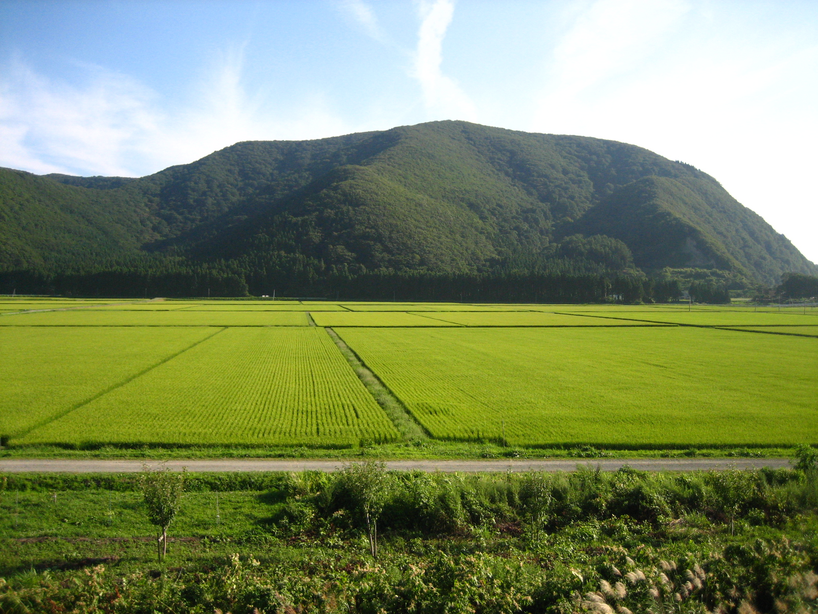 Sawah padi di Aizu, Wilayah Fukushima, menunjukkan kepentingan pertanian padi di Jepun.
