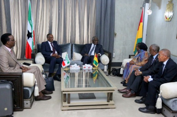Tổng thống Somaliland Muse Bihi Abdi trong chuyến thăm Cộng hòa Guinea. Ông đã tiếp một phái đoàn cấp cao do Bộ trưởng Ngoại giao Guinea Mamadi Touré dẫn đầu vào năm 2019.