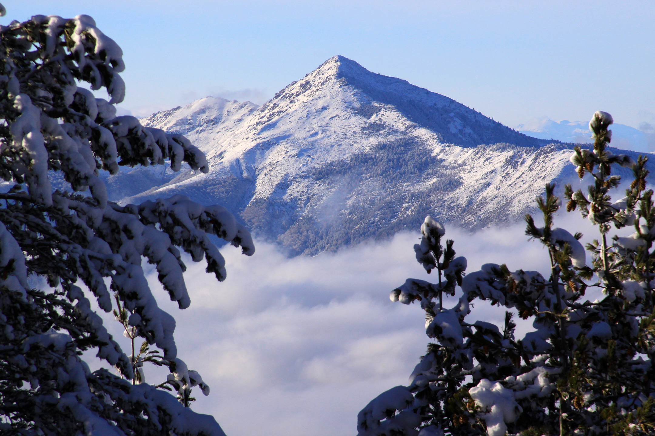 Iklim Alp di Pashallora seperti yang dilihat dari Brezovica.
