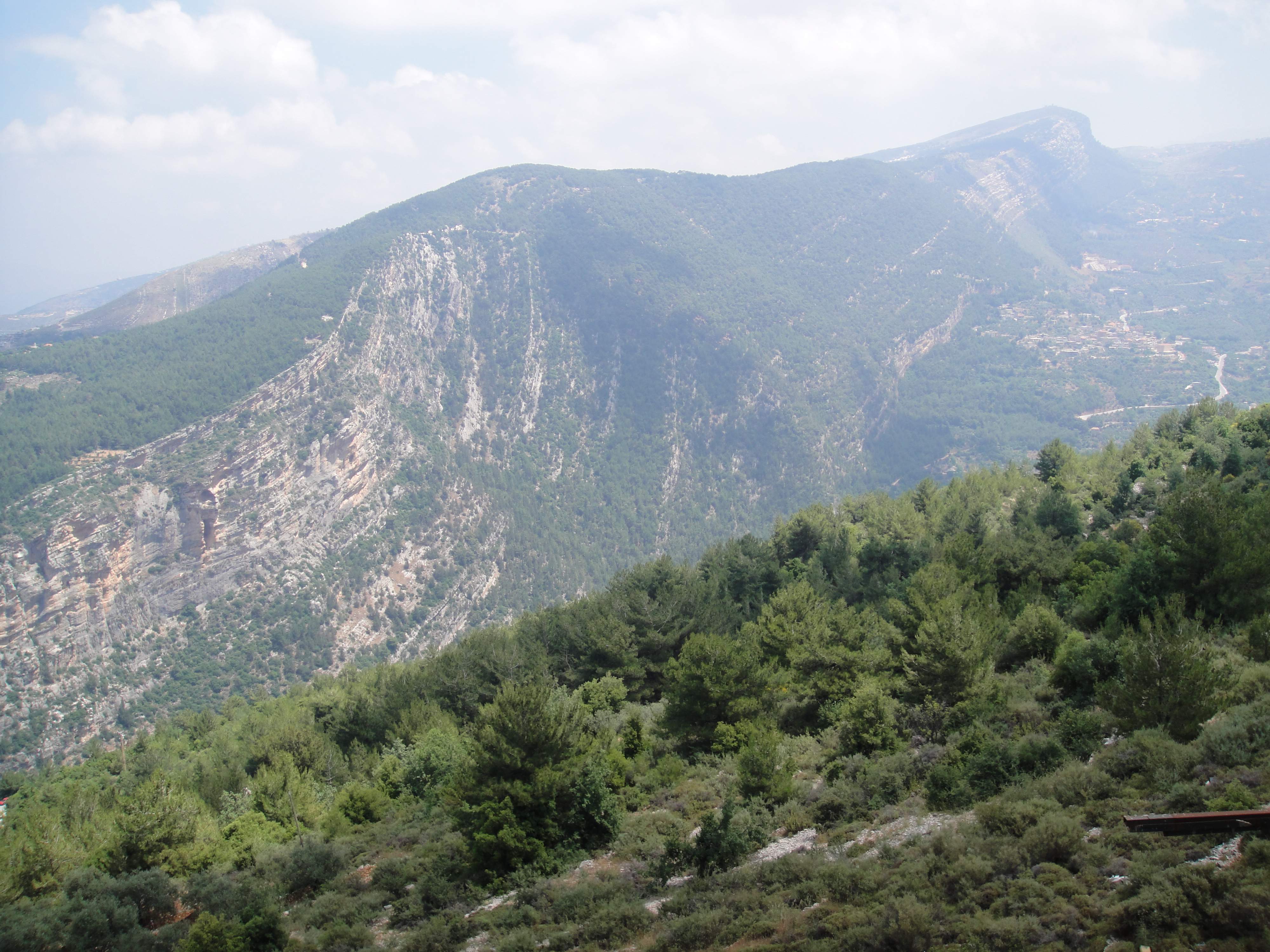 레바논 산은 레바논의 산맥이다. 평균 해발 고도는 2500 m 이상이다.