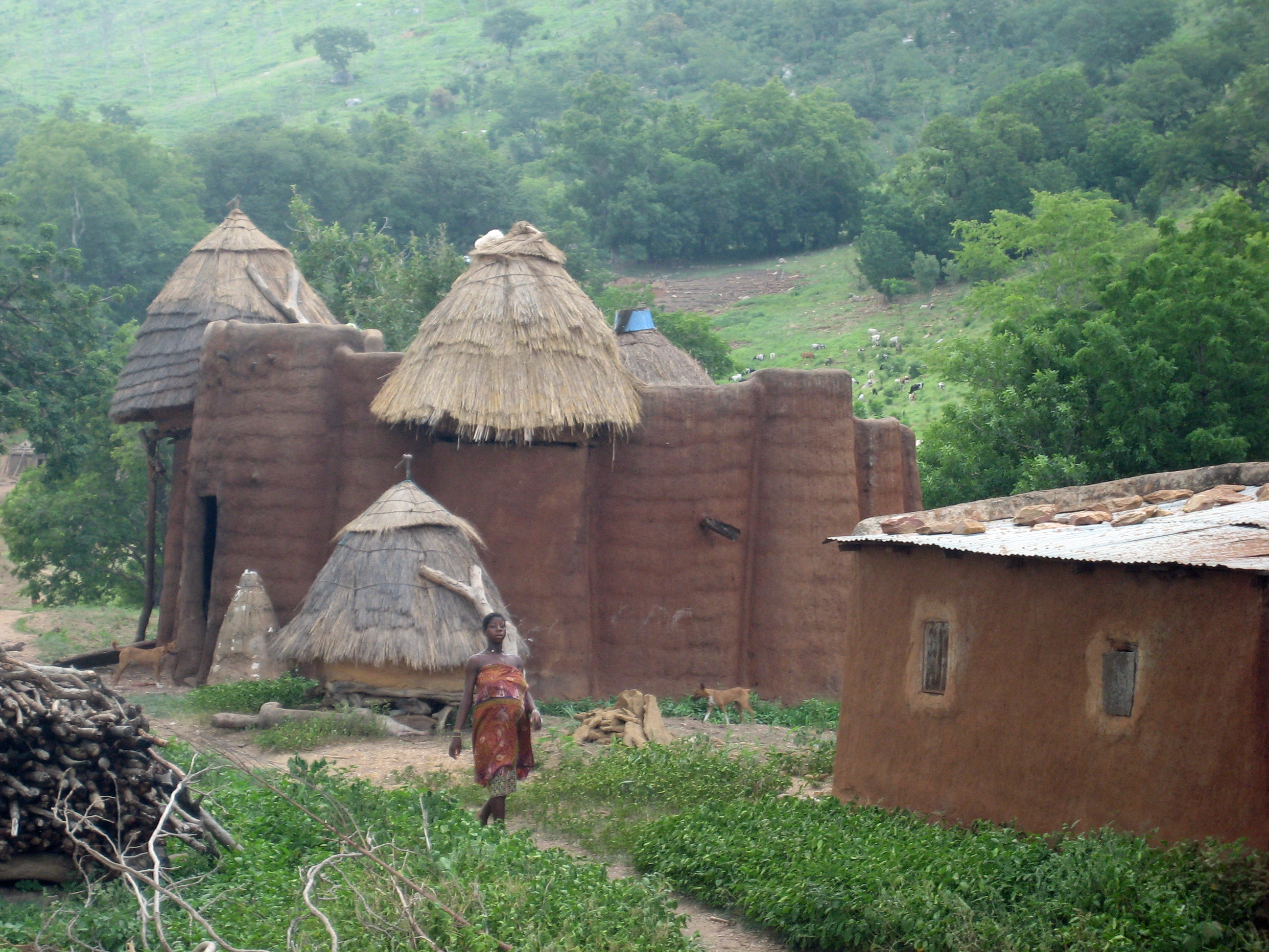 A close-up of a Takienta (mud tower-house) in Koutammakou, the Land of the Batammariba, a UNESCO World Heritage site.