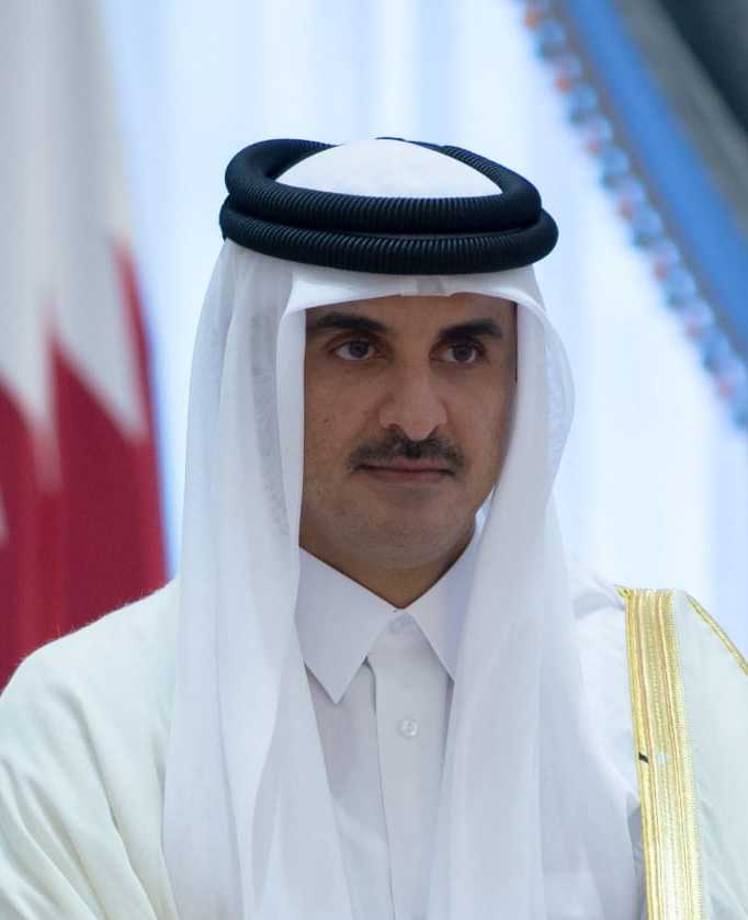 Tamim bin Hamad Al Thani, Emir sejak 2013