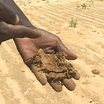 Kemarau telah mengubah tanah pertanian menjadi kerikil dan pasir. Seorang petani memeriksa tanah semasa kemarau yang melanda Niger menyebabkan kebuluran pada tahun 2005.