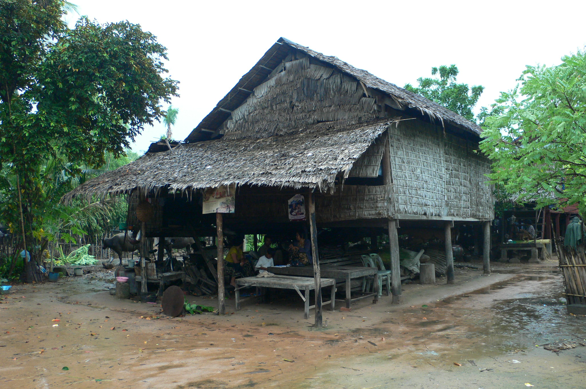 カンボジアの農村では高床式住居が主流である