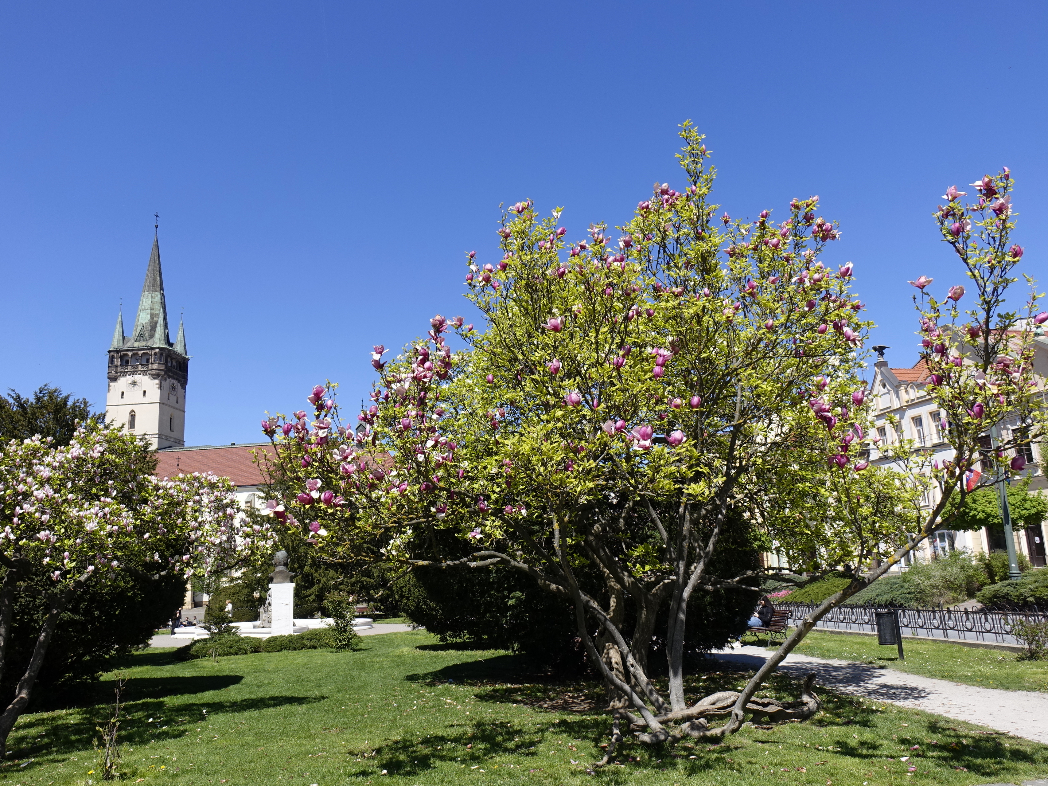 Musim bunga di Prešov