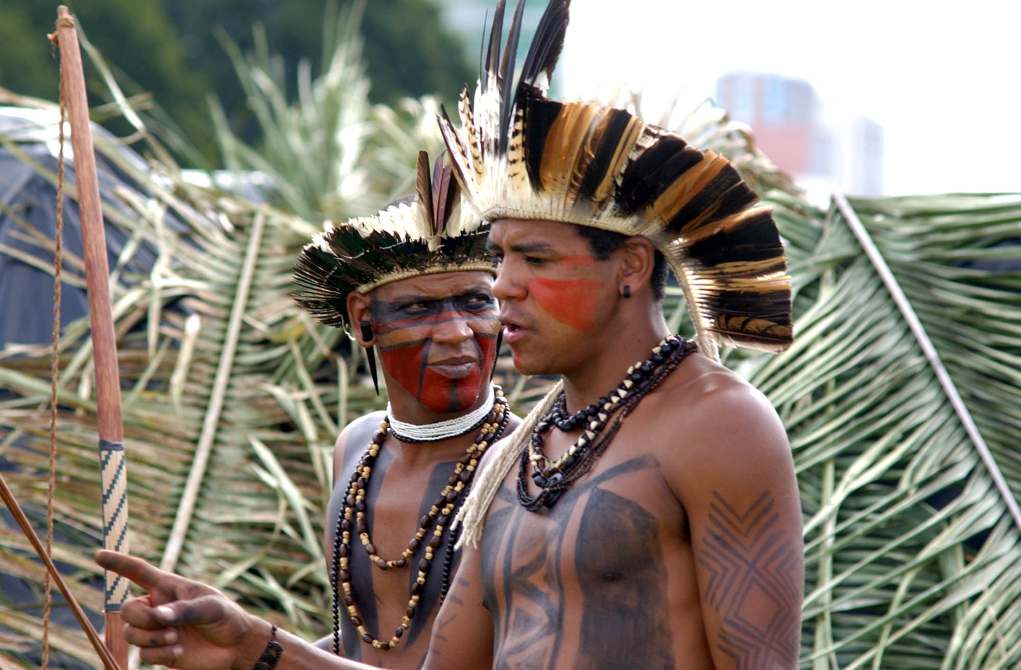 Indigenous Brazilians.