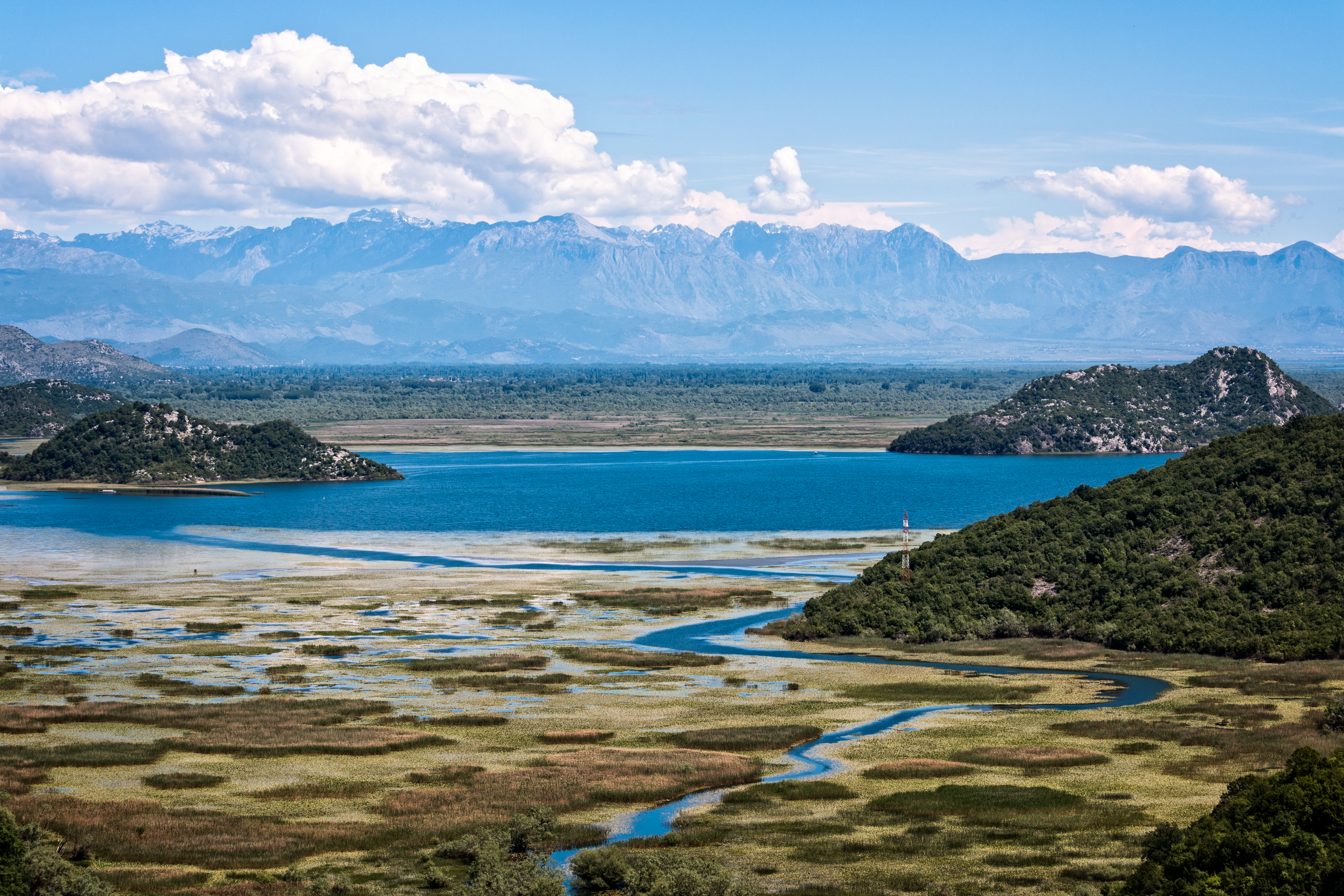 Lake Skadar National Park is a biodiversity hotspot of freshwater biodiversity.