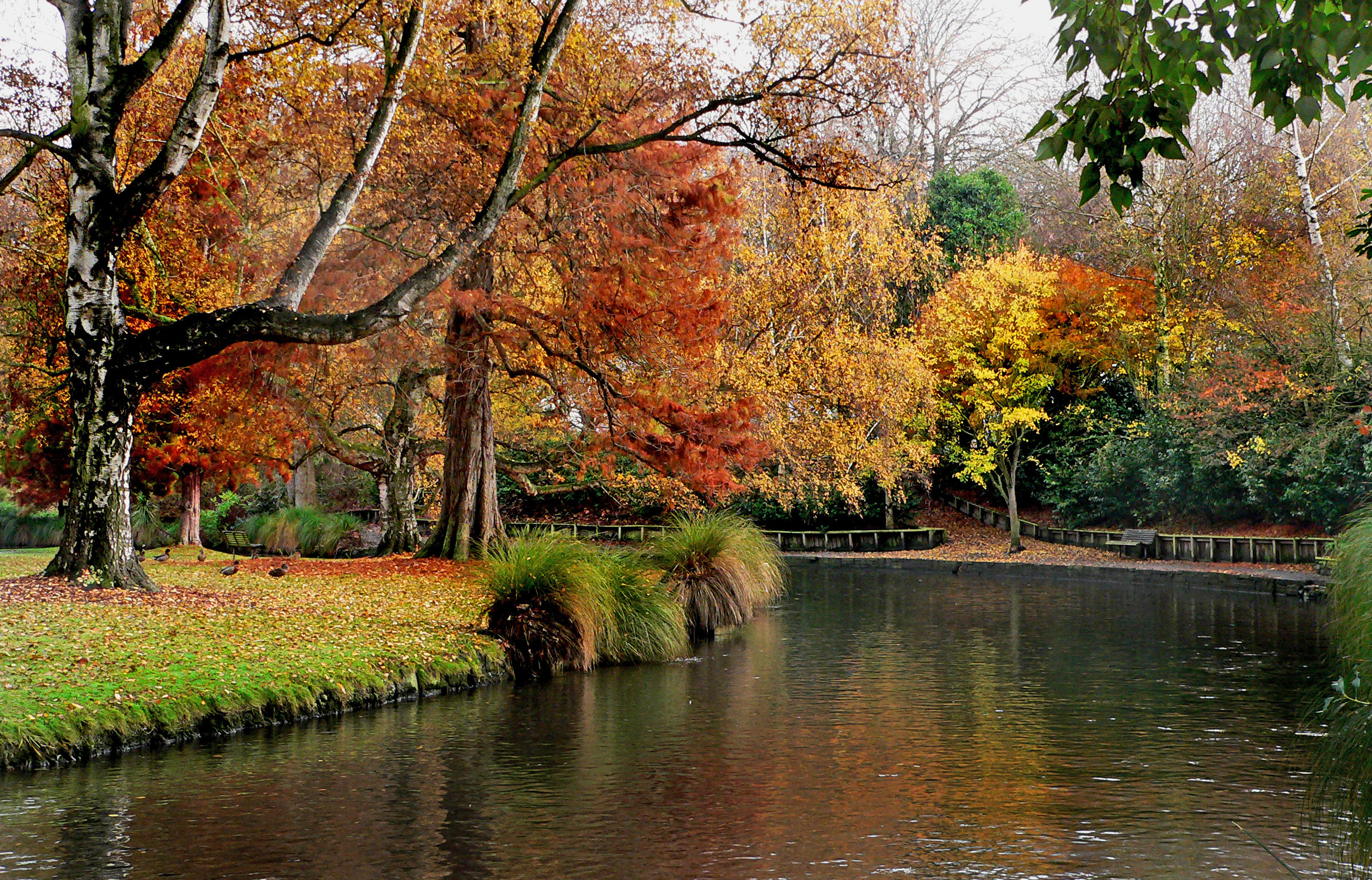 Musim luruh di Taman Botani Christchurch