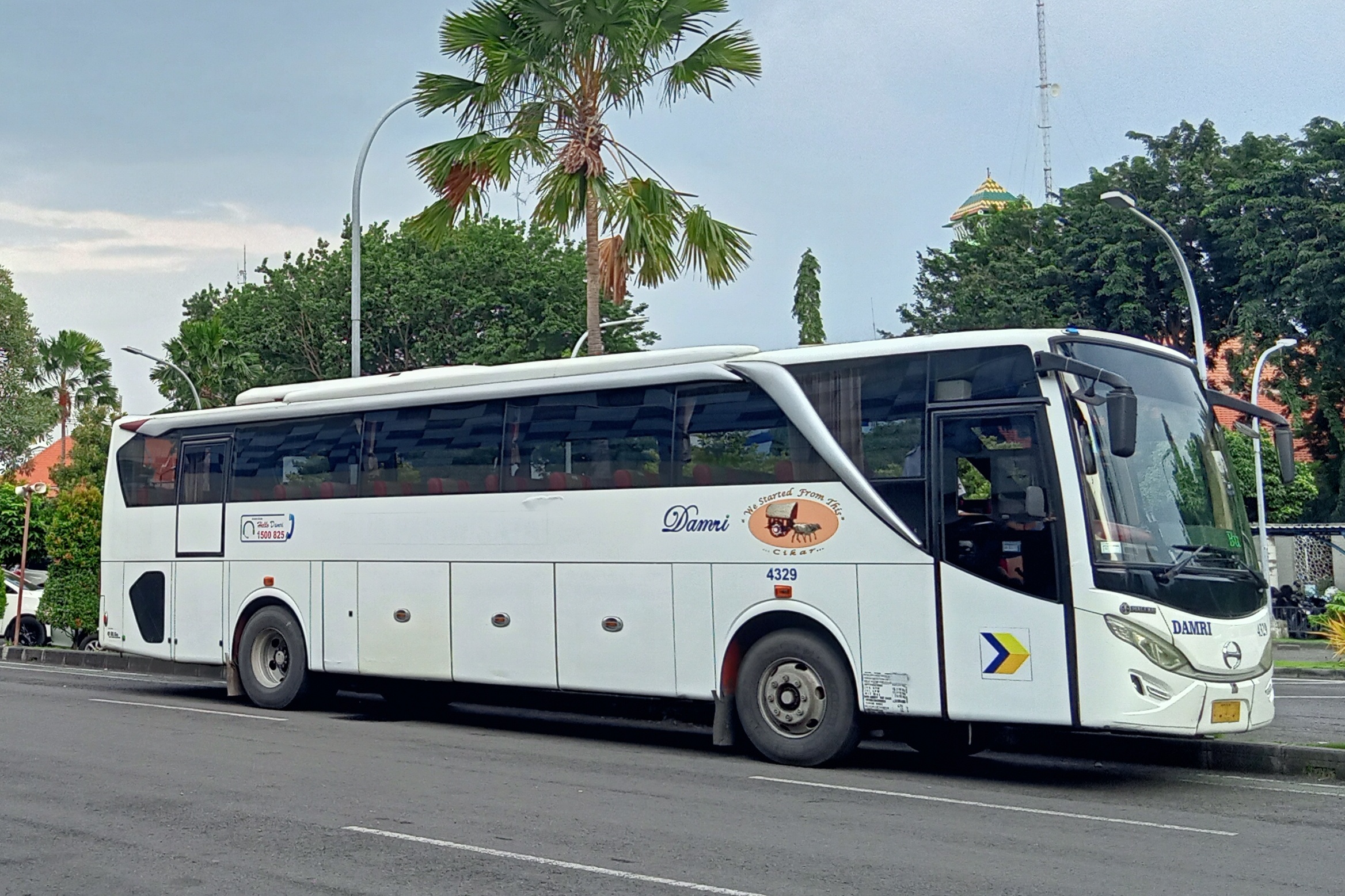 Bas DAMRI