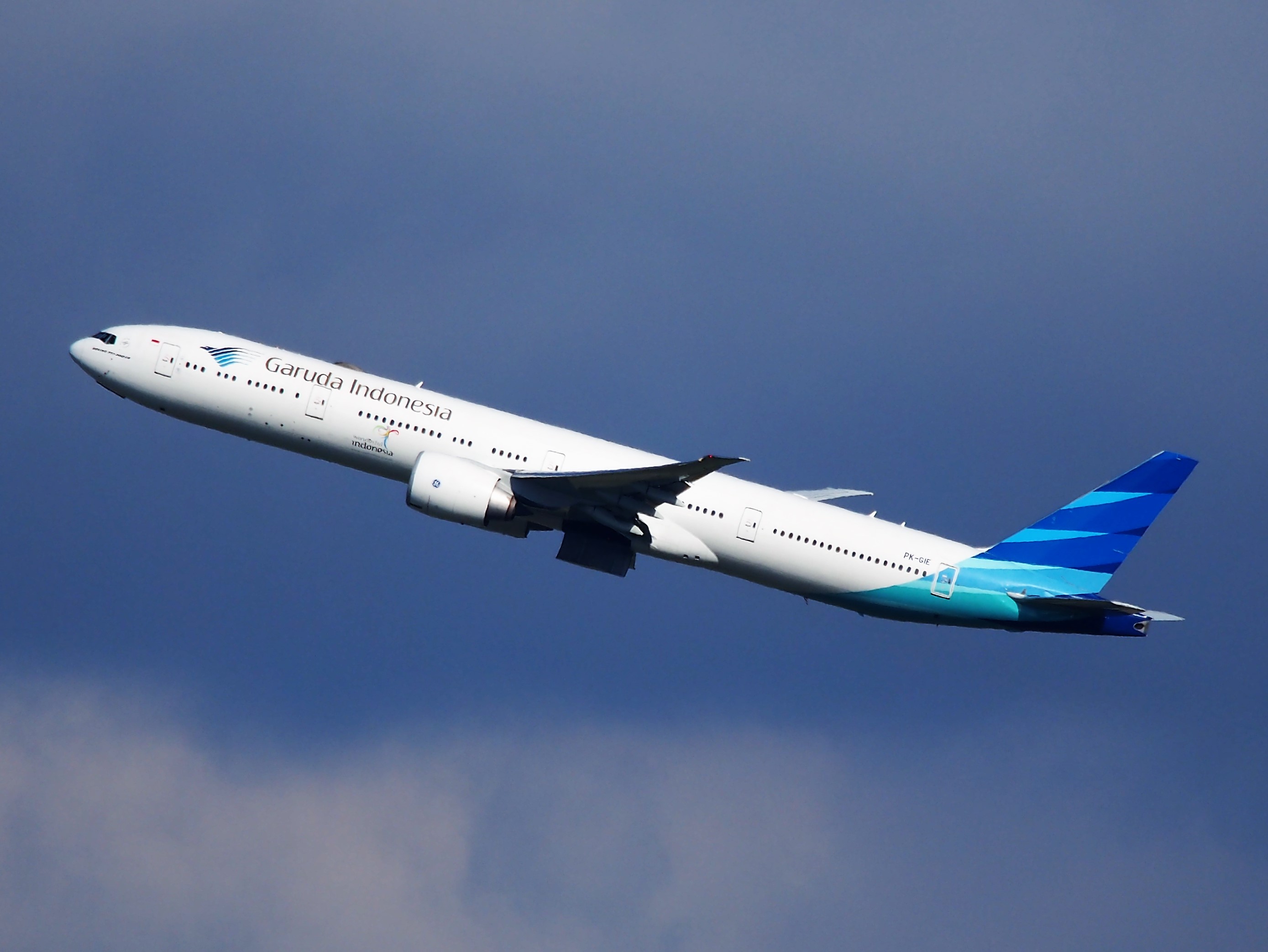 Pesawat Garuda Indonesia