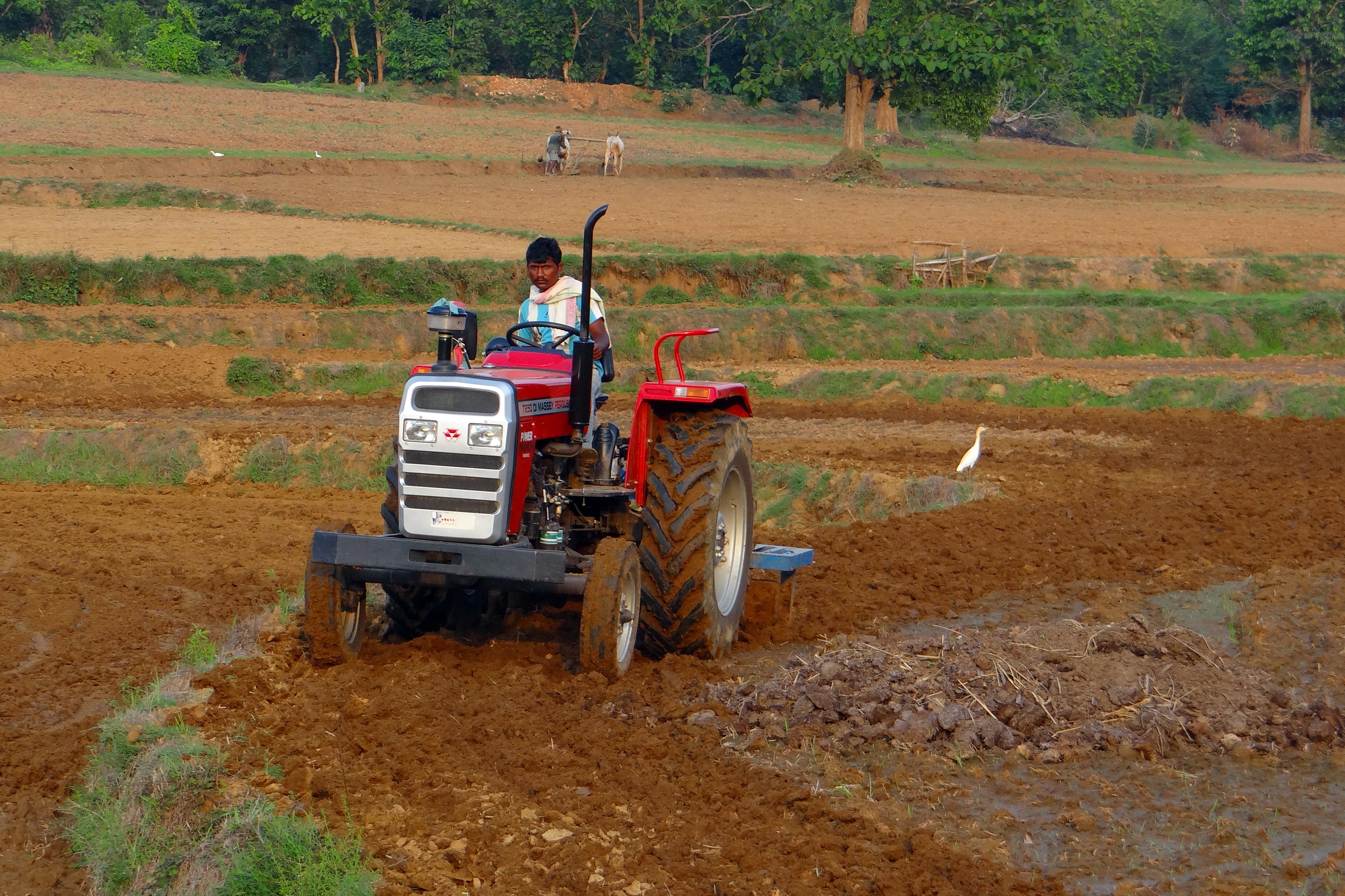 Seorang petani di barat laut Karnataka membajak ladangnya dengan traktor manakala seorang lagi di ladang seberang melakukan perkara yang sama dengan sepasang lembu. Pada 2019, 43% daripada jumlah tenaga kerja India bekerja dalam bidang pertanian.