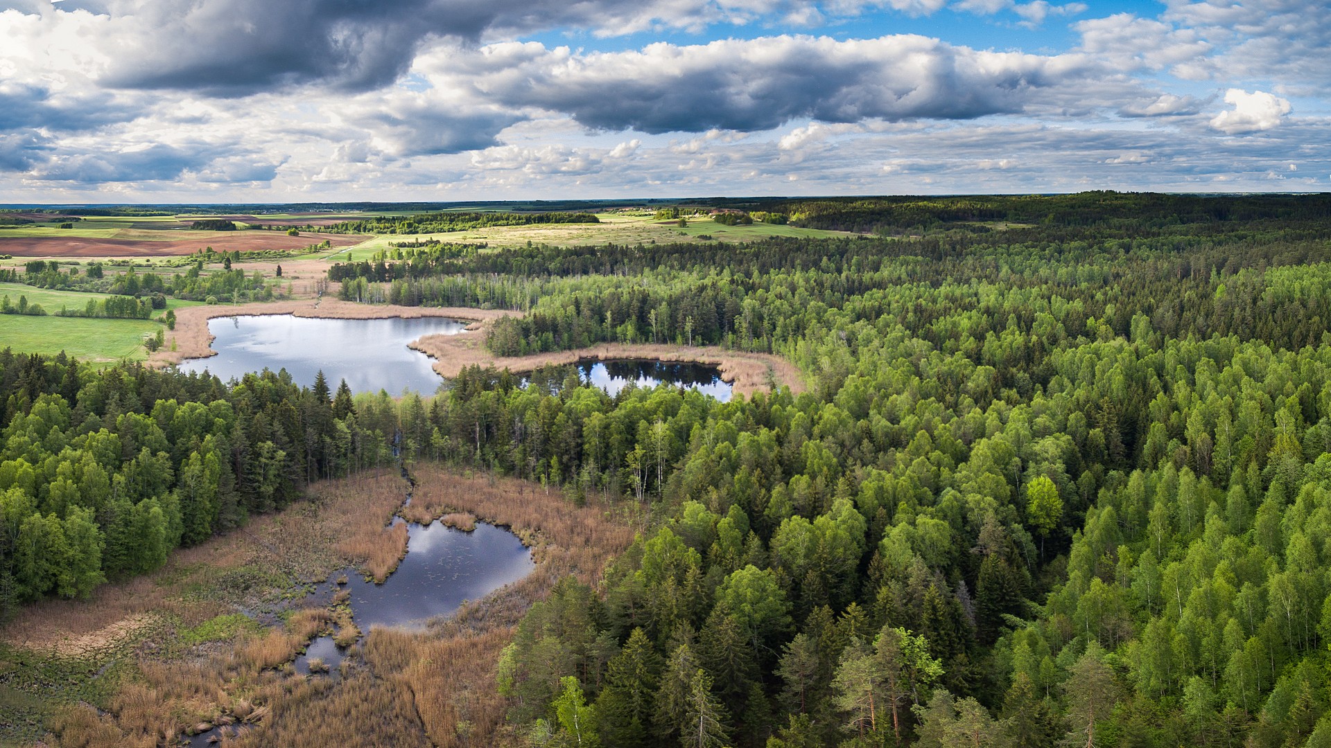 Tanah pamah Lithuania dengan tasik, paya dan hutan. Lithuania mempunyai beribu-ribu tasik.