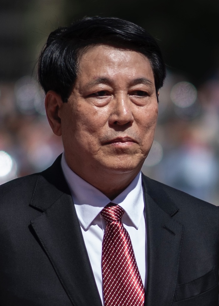 Lương Cường, Presiden
