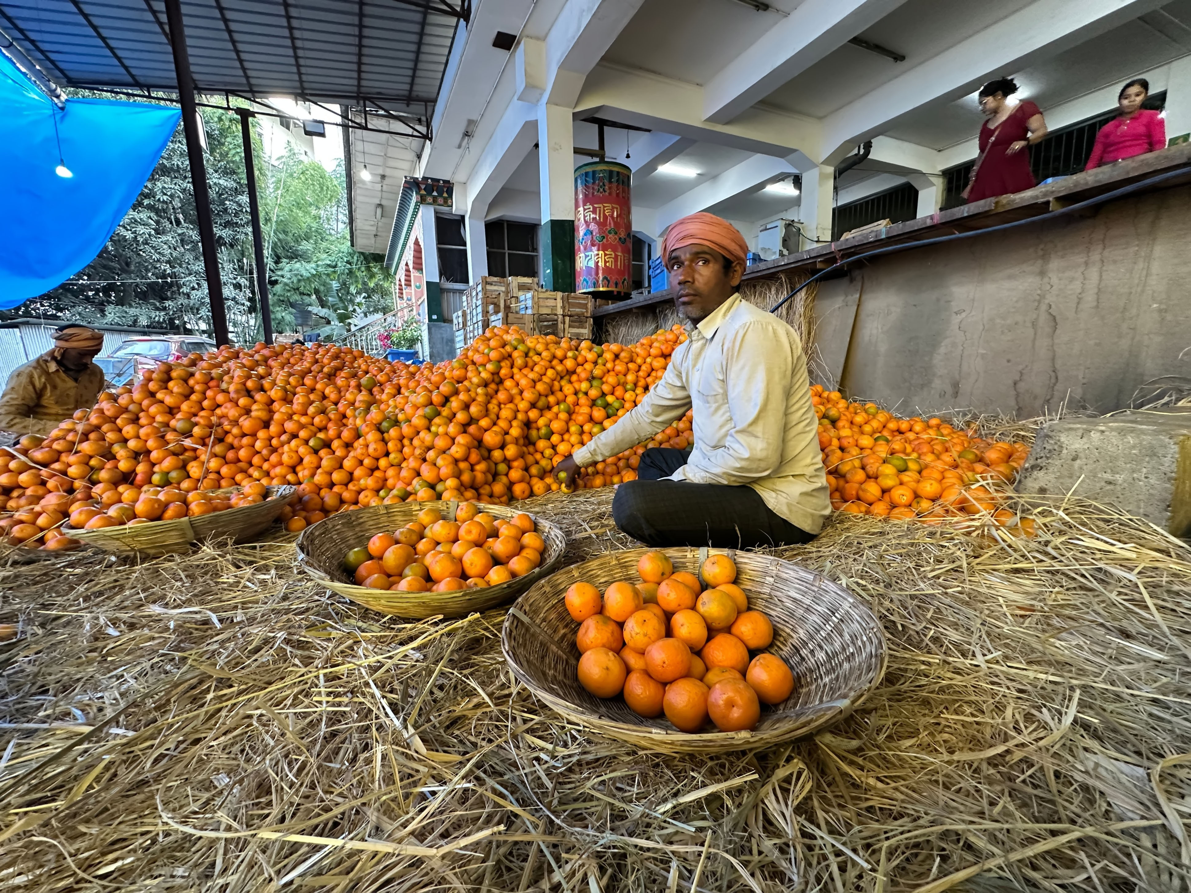 Seorang pekerja menyortir Jeruk Mandarin di Halaman Lelang Food Corporation of Bhutan Limited di Samdrup Jongkhar