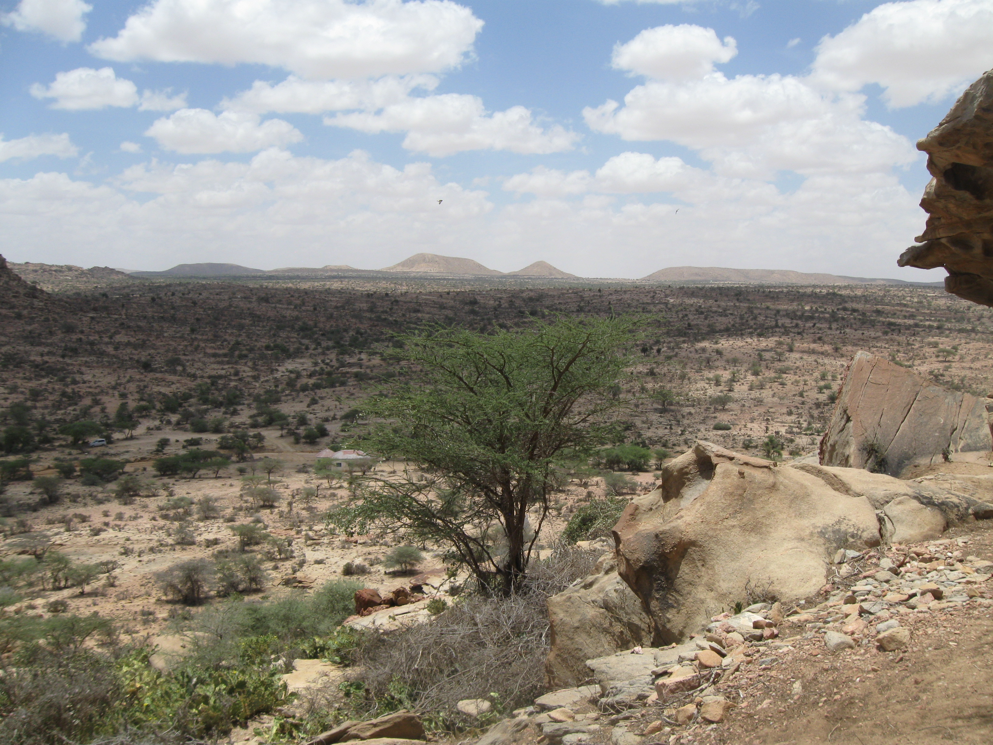 Vùng nông thôn Somaliland, một ví dụ về cảnh quan tại cao nguyên Ogo.