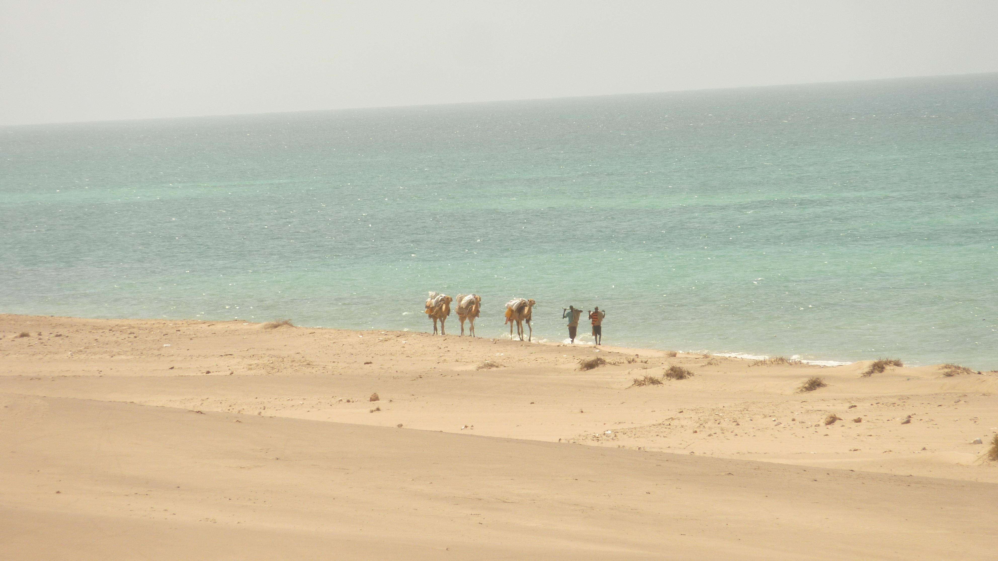 Bãi biển Berbera thuộc dải ven biển Guban.