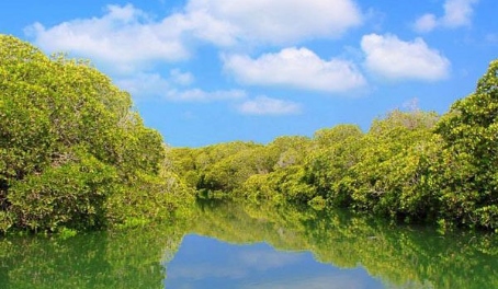 Sacadin, một trong những hòn đảo thuộc Quần đảo Zeila ngoài khơi vùng Awdal.