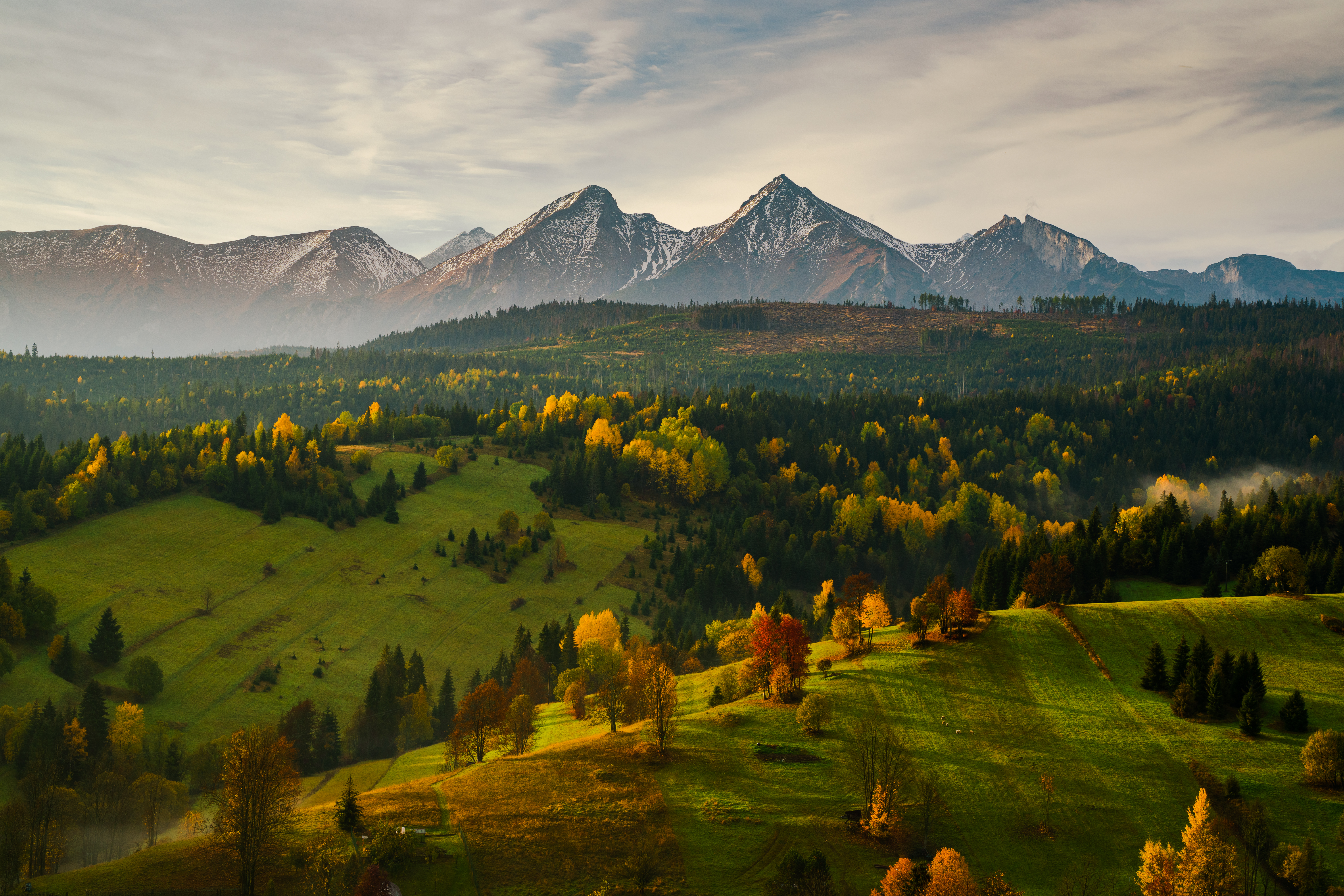 Tatra Belianske