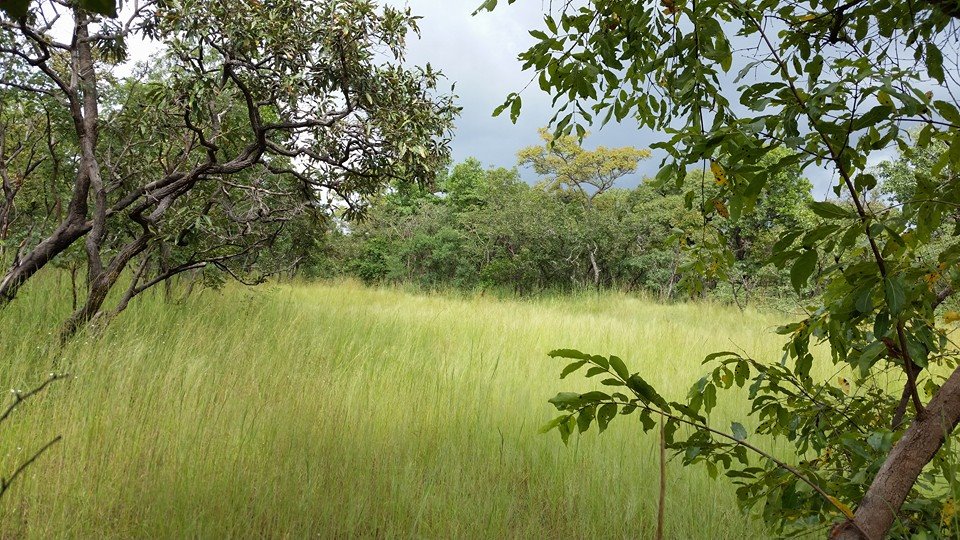 Taman Negara Comoé.
