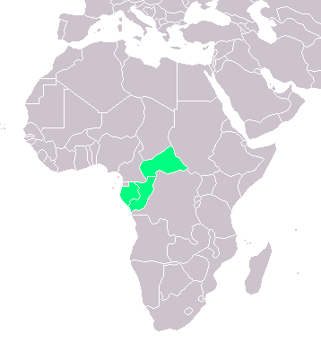 Kongo Prancis