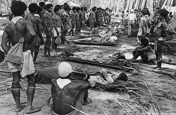 Pembawa pengusung Papua membawa askar Tentera Darat AS yang cedera dari barisan hadapan Buna, berhenti seketika untuk berehat bersama askar-askar di bawah naungan kebun kelapa, menuju ke hospital di bahagian belakang.