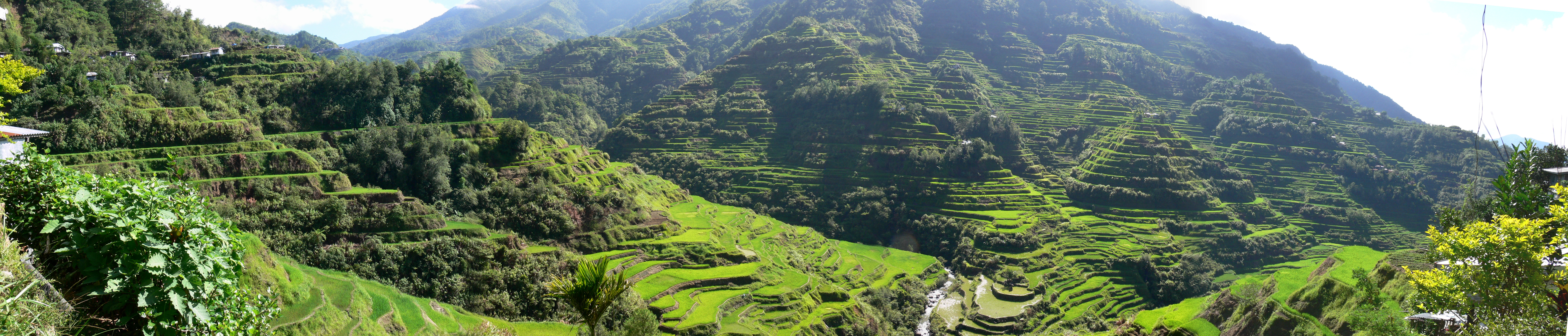 Ruộng bậc thang Banaue, được chạm khắc bởi tổ tiên của người Ifugao.